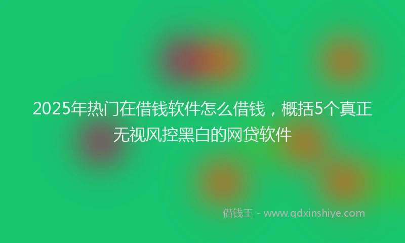2025年热门在借钱软件怎么借钱，概括5个真正无视风控黑白的网贷软件