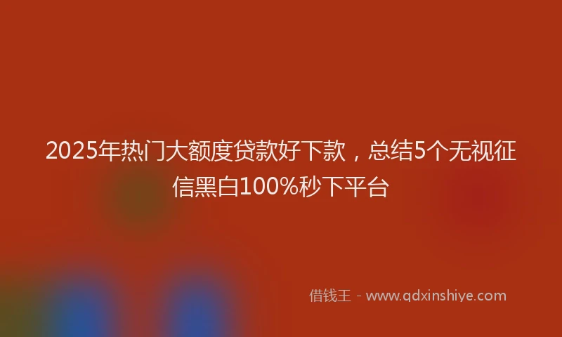 2025年热门大额度贷款好下款，总结5个无视征信黑白100%秒下平台