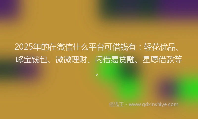 2025年的在微信什么平台可借钱有：轻花优品、哆宝钱包、微微理财、闪借易贷融、星愿借款等。