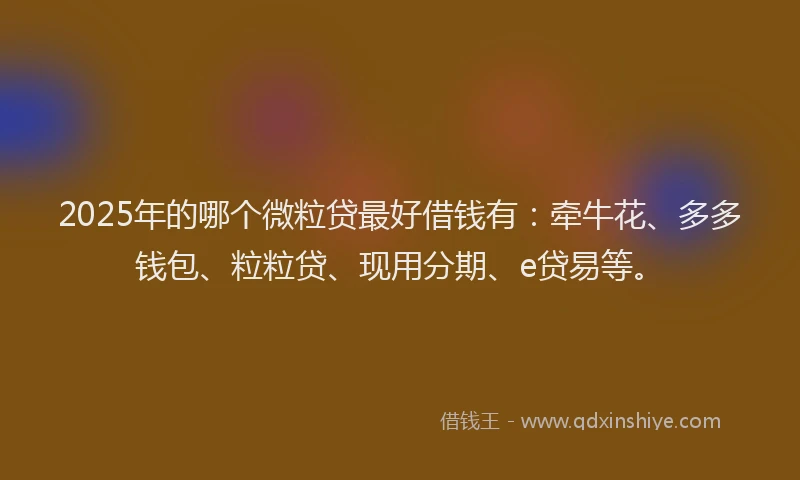 2025年的哪个微粒贷最好借钱有：牵牛花、多多钱包、粒粒贷、现用分期、e贷易等。