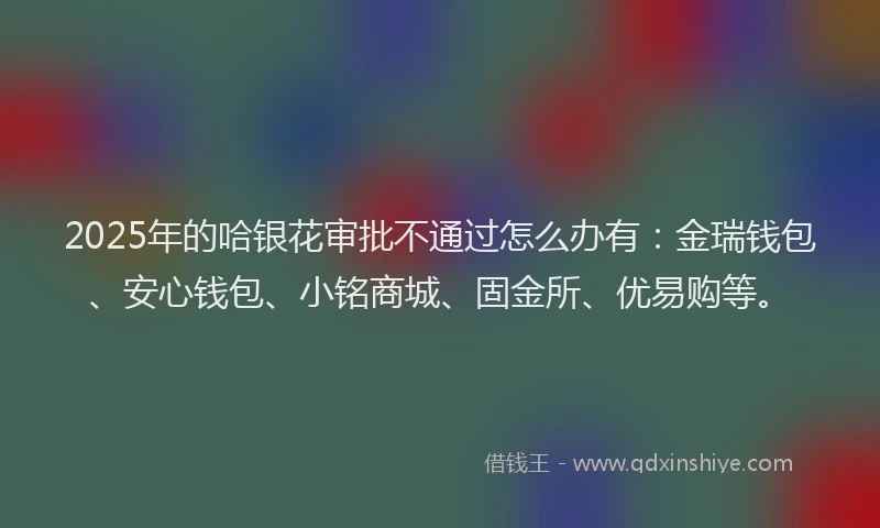 2025年的哈银花审批不通过怎么办有：金瑞钱包、安心钱包、小铭商城、固金所、优易购等。