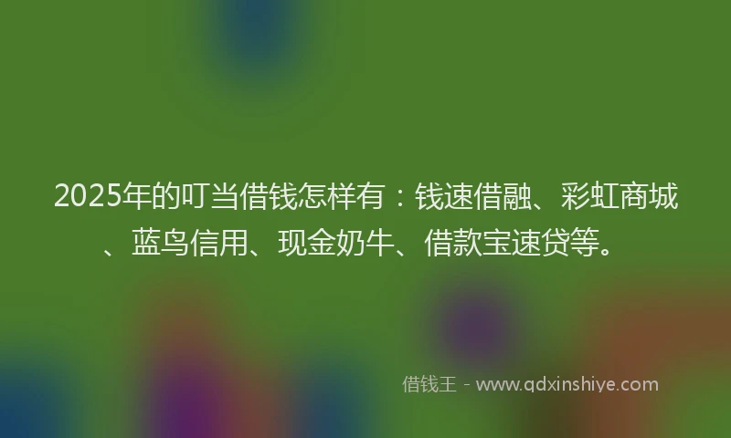 2025年的叮当借钱怎样有：钱速借融、彩虹商城、蓝鸟信用、现金奶牛、借款宝速贷等。