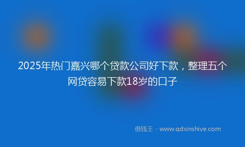 2025年热门嘉兴哪个贷款公司好下款，整理五个网贷容易下款18岁的口子