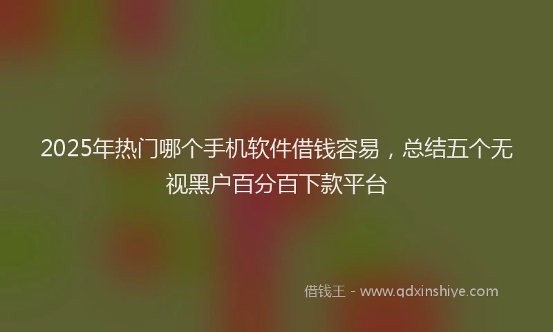 2025年热门哪个手机软件借钱容易，总结五个无视黑户百分百下款平台