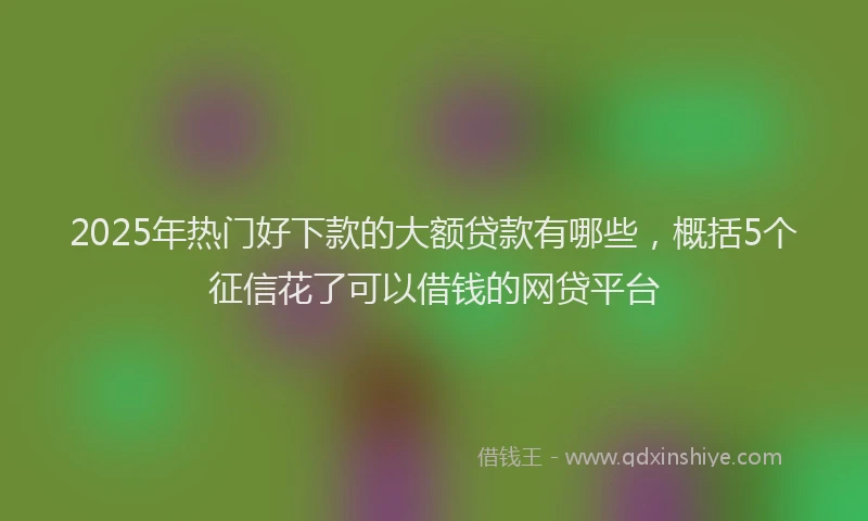 2025年热门好下款的大额贷款有哪些，概括5个征信花了可以借钱的网贷平台