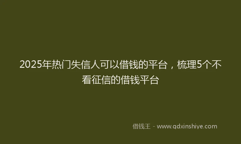 2025年热门失信人可以借钱的平台，梳理5个不看征信的借钱平台