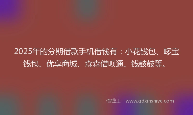 2025年的分期借款手机借钱有：小花钱包、哆宝钱包、优享商城、森森借呗通、钱鼓鼓等。