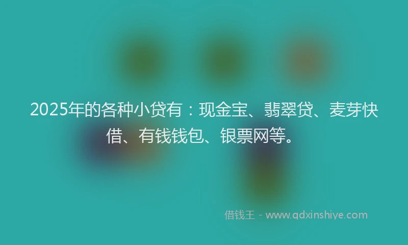 2025年的各种小贷有：现金宝、翡翠贷、麦芽快借、有钱钱包、银票网等。