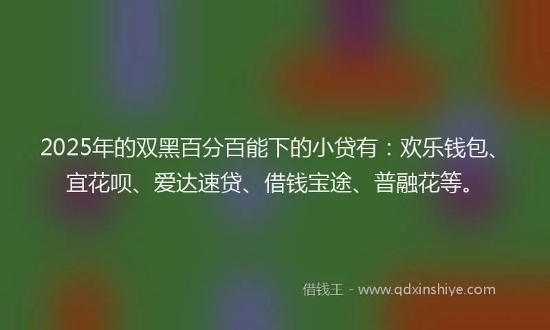 2025年的双黑百分百能下的小贷有：欢乐钱包、宜花呗、爱达速贷、借钱宝途、普融花等。