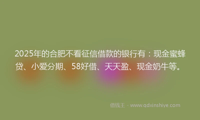 2025年的合肥不看征信借款的银行有：现金蜜蜂贷、小爱分期、58好借、天天盈、现金奶牛等。