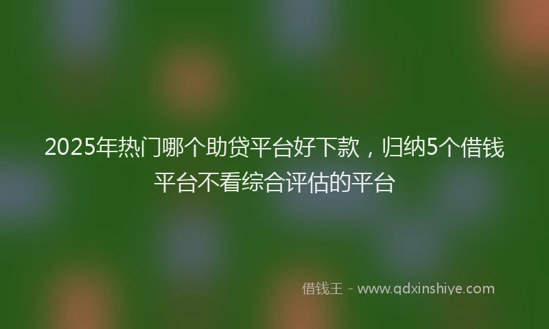 2025年热门哪个助贷平台好下款，归纳5个借钱平台不看综合评估的平台