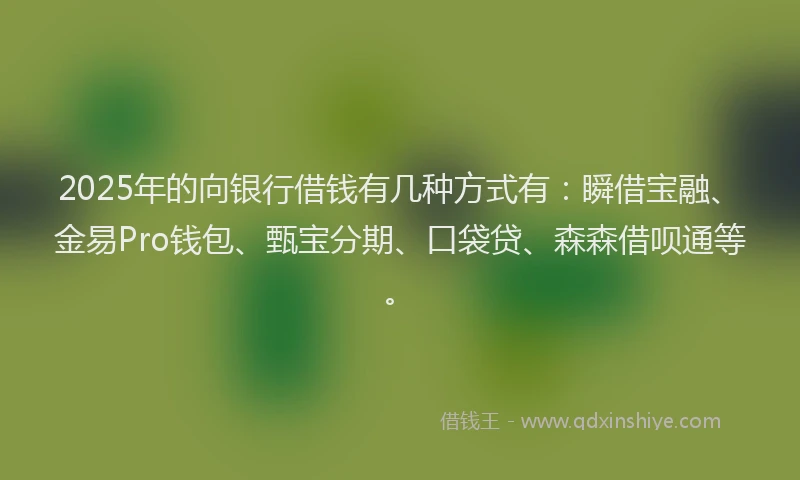 2025年的向银行借钱有几种方式有：瞬借宝融、金易Pro钱包、甄宝分期、口袋贷、森森借呗通等。