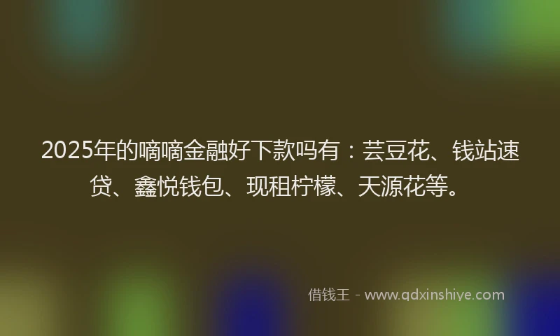 2025年的嘀嘀金融好下款吗有：芸豆花、钱站速贷、鑫悦钱包、现租柠檬、天源花等。