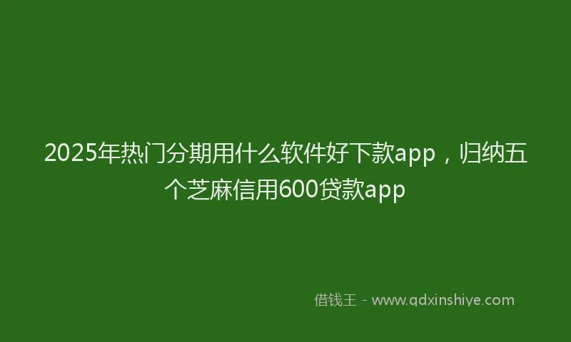 2025年热门分期用什么软件好下款app，归纳五个芝麻信用600贷款app