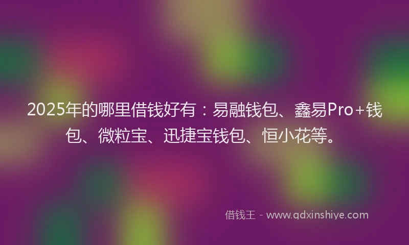 2025年的哪里借钱好有：易融钱包、鑫易Pro+钱包、微粒宝、迅捷宝钱包、恒小花等。