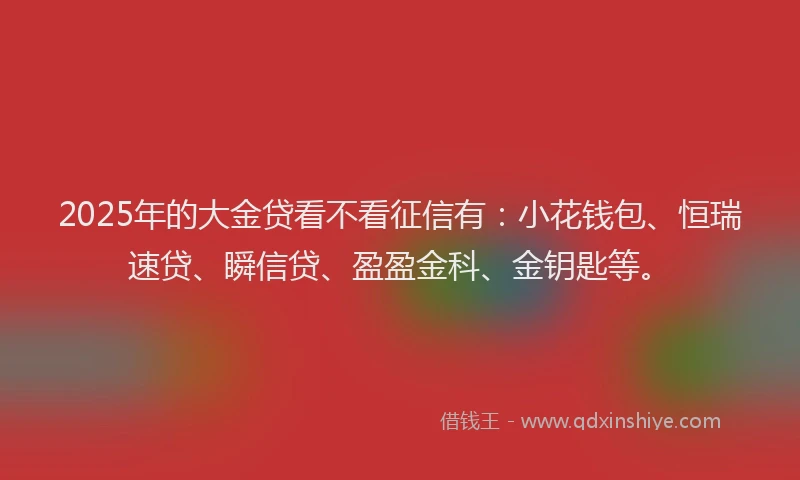 2025年的大金贷看不看征信有：小花钱包、恒瑞速贷、瞬信贷、盈盈金科、金钥匙等。