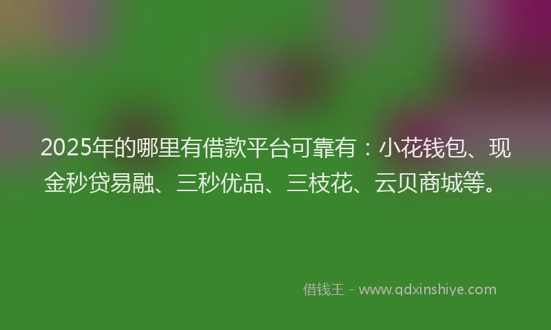 2025年的哪里有借款平台可靠有：小花钱包、现金秒贷易融、三秒优品、三枝花、云贝商城等。