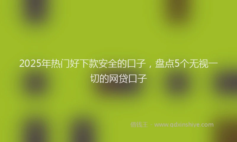 2025年热门好下款安全的口子，盘点5个无视一切的网贷口子