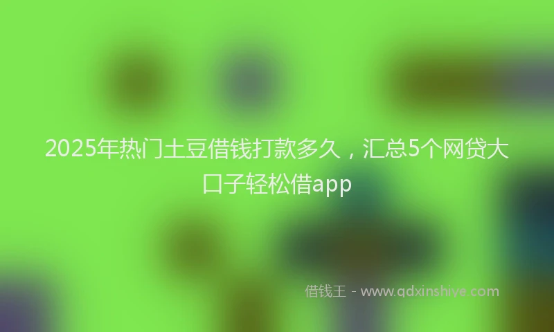 2025年热门土豆借钱打款多久，汇总5个网贷大口子轻松借app