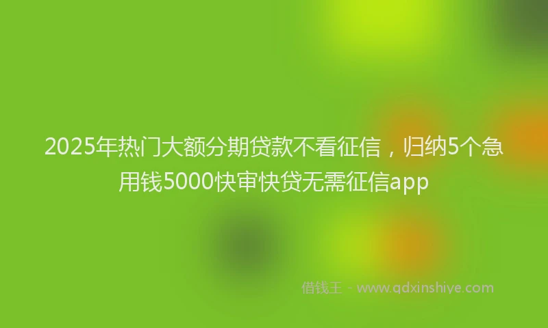 2025年热门大额分期贷款不看征信，归纳5个急用钱5000快审快贷无需征信app