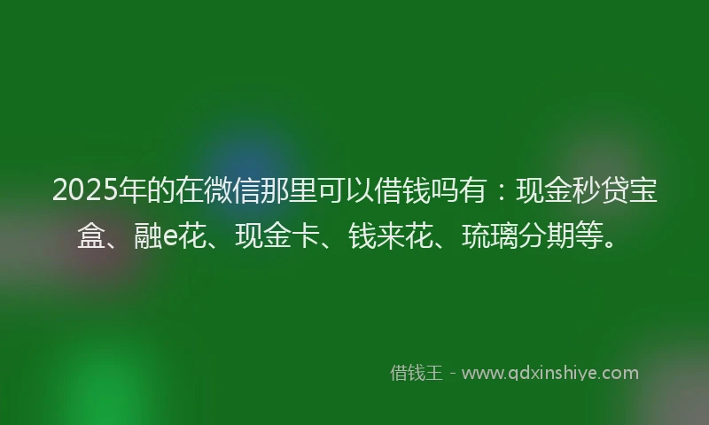 2025年的在微信那里可以借钱吗有：现金秒贷宝盒、融e花、现金卡、钱来花、琉璃分期等。