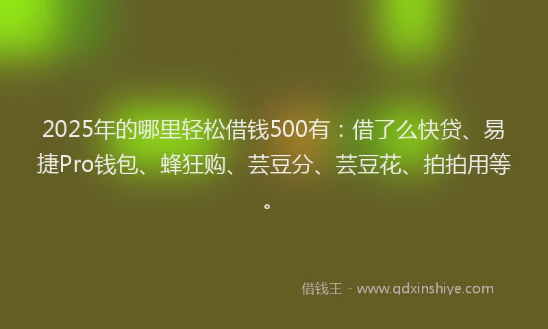 2025年的哪里轻松借钱500有：借了么快贷、易捷Pro钱包、蜂狂购、芸豆分、芸豆花、拍拍用等。