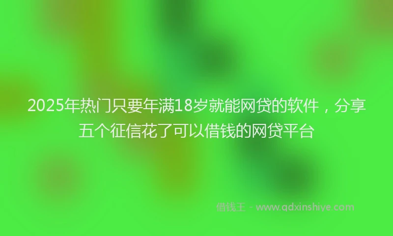 2025年热门只要年满18岁就能网贷的软件，分享五个征信花了可以借钱的网贷平台