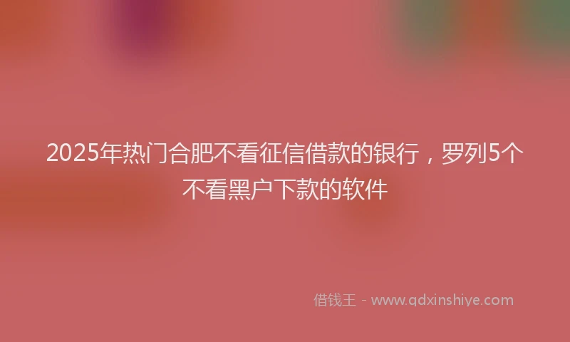 2025年热门合肥不看征信借款的银行，罗列5个不看黑户下款的软件