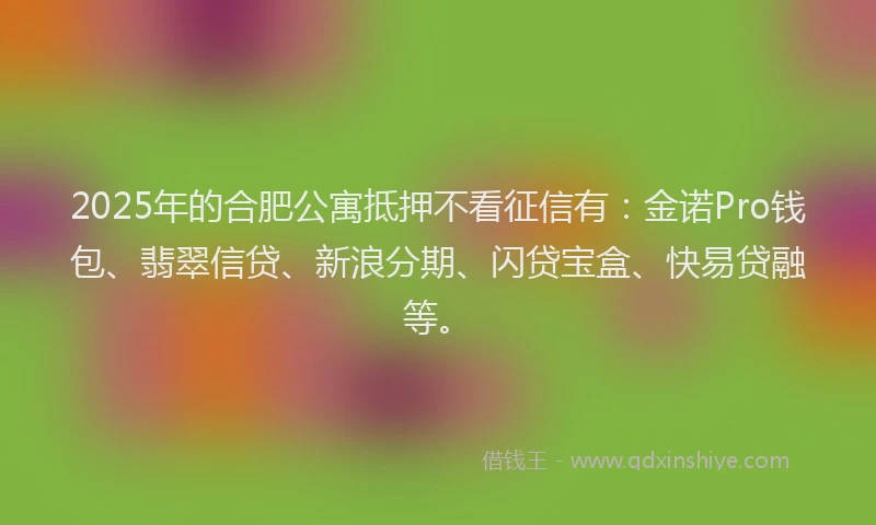 2025年的合肥公寓抵押不看征信有：金诺Pro钱包、翡翠信贷、新浪分期、闪贷宝盒、快易贷融等。