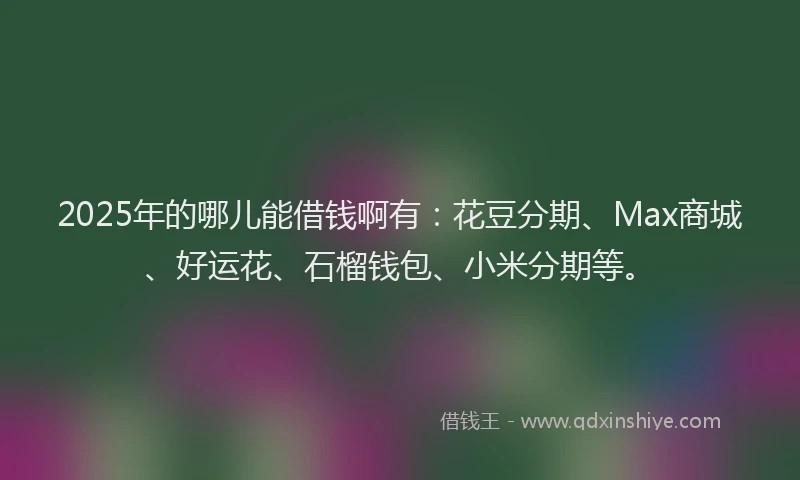 2025年的哪儿能借钱啊有：花豆分期、Max商城、好运花、石榴钱包、小米分期等。