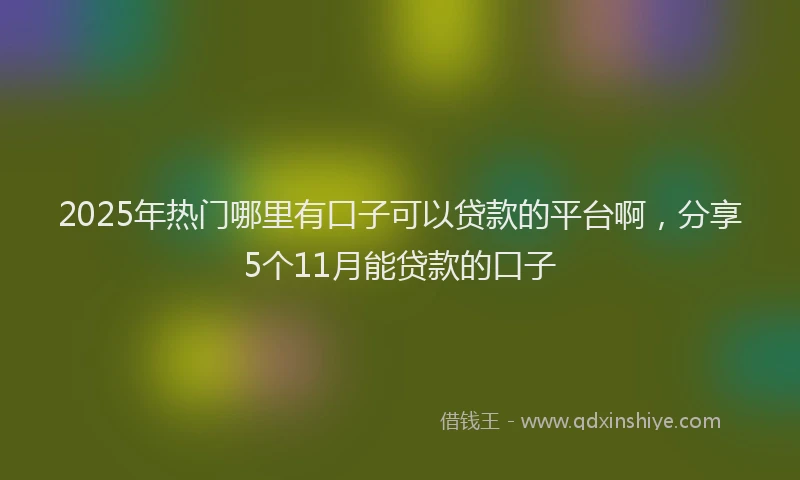 2025年热门哪里有口子可以贷款的平台啊，分享5个11月能贷款的口子