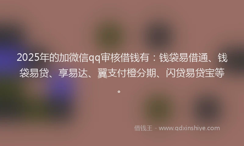 2025年的加微信qq审核借钱有：钱袋易借通、钱袋易贷、享易达、翼支付橙分期、闪贷易贷宝等。