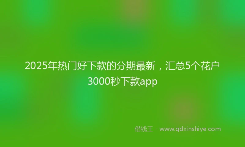 2025年热门好下款的分期最新，汇总5个花户3000秒下款app