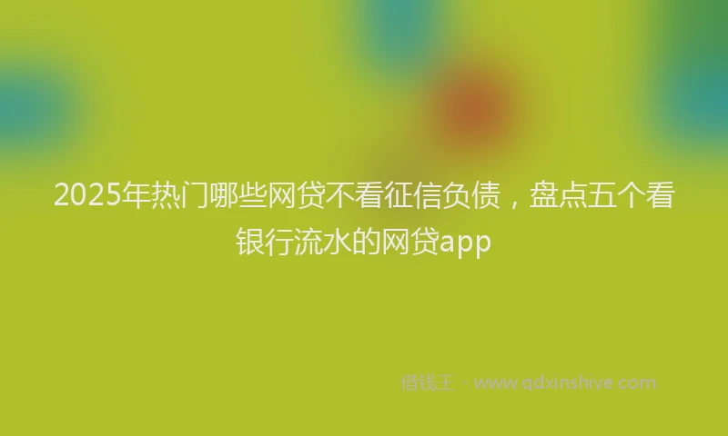 2025年热门哪些网贷不看征信负债，盘点五个看银行流水的网贷app