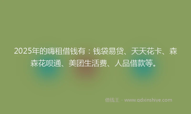 2025年的嗨租借钱有：钱袋易贷、天天花卡、森森花呗通、美团生活费、人品借款等。