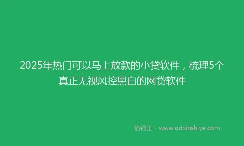 2025年热门可以马上放款的小贷软件，梳理5个真正无视风控黑白的网贷软件