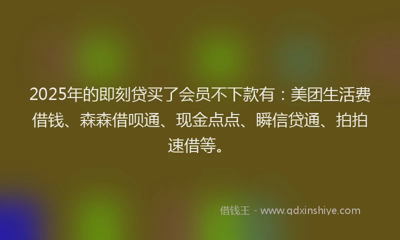 2025年的即刻贷买了会员不下款有：美团生活费借钱、森森借呗通、现金点点、瞬信贷通、拍拍速借等。