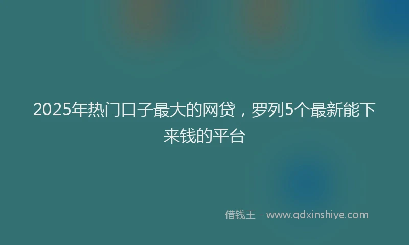 2025年热门口子最大的网贷，罗列5个最新能下来钱的平台