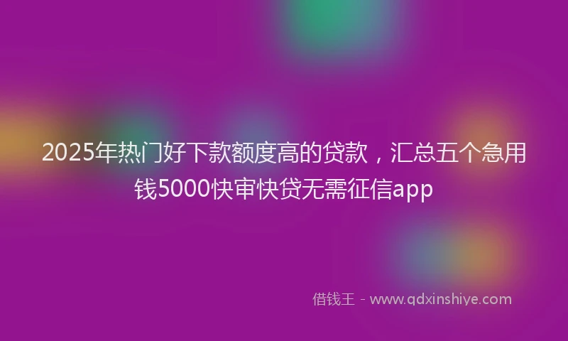 2025年热门好下款额度高的贷款，汇总五个急用钱5000快审快贷无需征信app