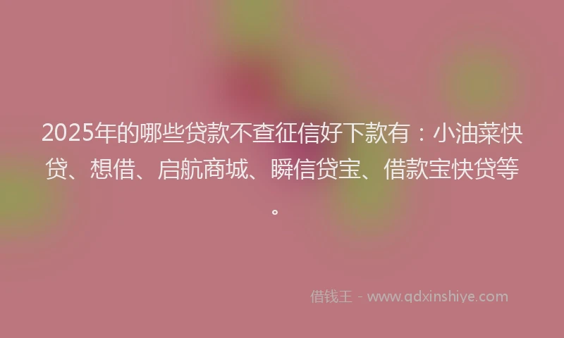 2025年的哪些贷款不查征信好下款有：小油菜快贷、想借、启航商城、瞬信贷宝、借款宝快贷等。