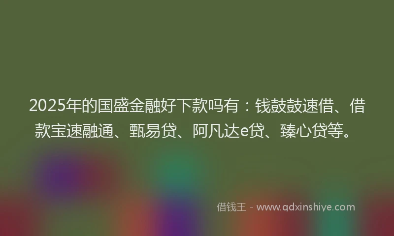 2025年的国盛金融好下款吗有：钱鼓鼓速借、借款宝速融通、甄易贷、阿凡达e贷、臻心贷等。