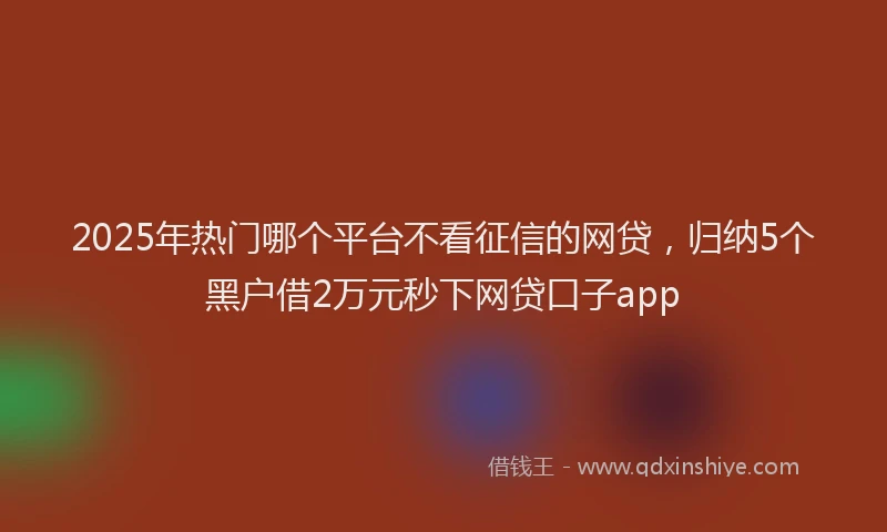 2025年热门哪个平台不看征信的网贷，归纳5个黑户借2万元秒下网贷口子app