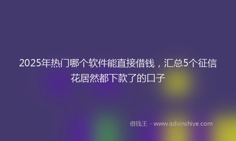 2025年热门哪个软件能直接借钱，汇总5个征信花居然都下款了的口子