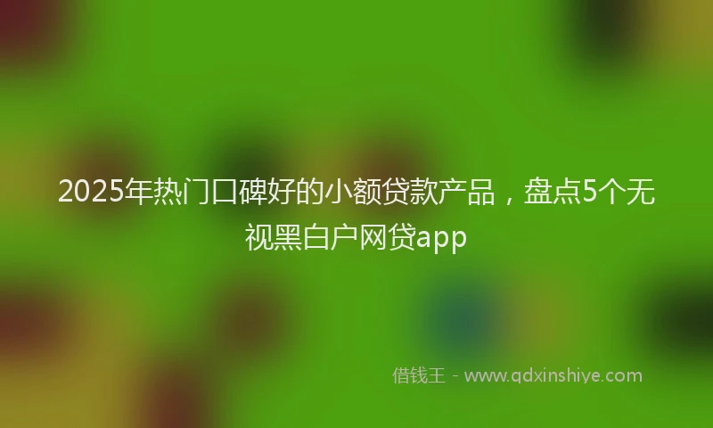 2025年热门口碑好的小额贷款产品，盘点5个无视黑白户网贷app
