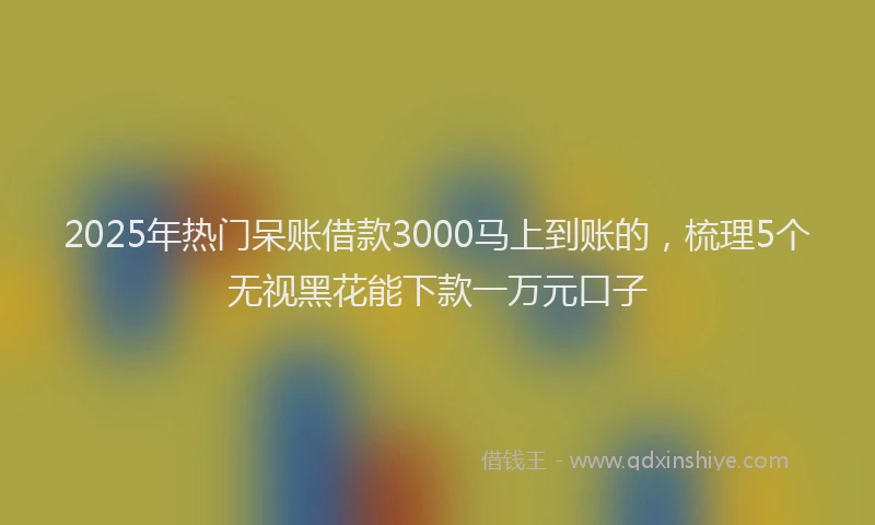 2025年热门呆账借款3000马上到账的，梳理5个无视黑花能下款一万元口子