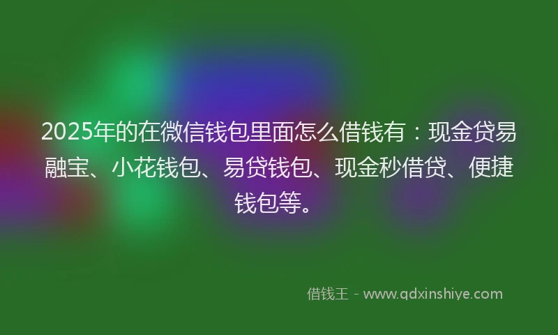 2025年的在微信钱包里面怎么借钱有：现金贷易融宝、小花钱包、易贷钱包、现金秒借贷、便捷钱包等。