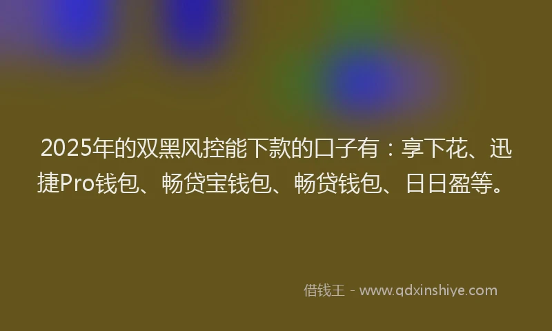 2025年的双黑风控能下款的口子有：享下花、迅捷Pro钱包、畅贷宝钱包、畅贷钱包、日日盈等。