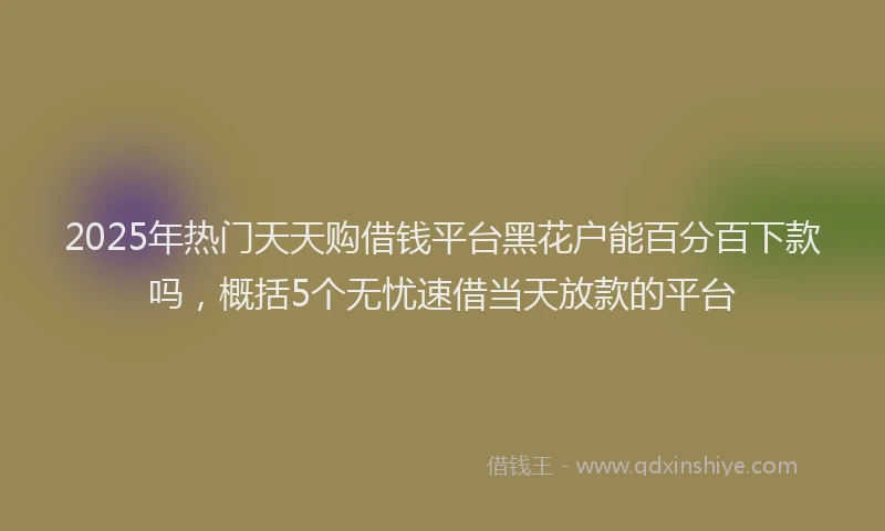 2025年热门天天购借钱平台黑花户能百分百下款吗，概括5个无忧速借当天放款的平台