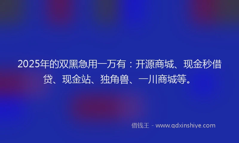 2025年的双黑急用一万有：开源商城、现金秒借贷、现金站、独角兽、一川商城等。