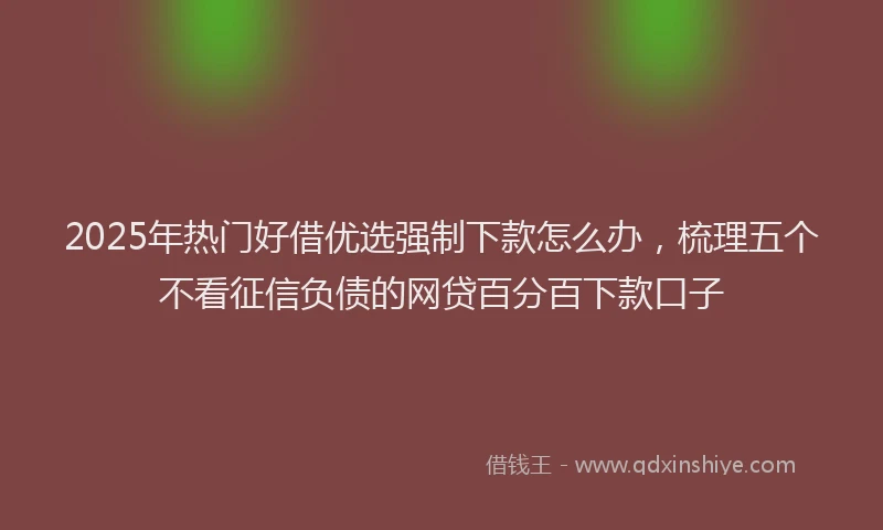 2025年热门好借优选强制下款怎么办，梳理五个不看征信负债的网贷百分百下款口子